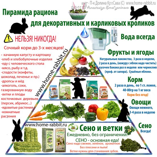 http://valleykrosava.narod.ru/menu.jpg