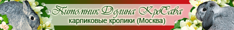 http://valleykrosava.narod.ru/banneri/IMG_1880.gif
